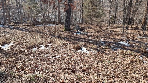 Bella Vista Sewer Lot