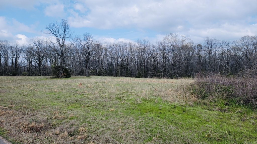 Picture 3