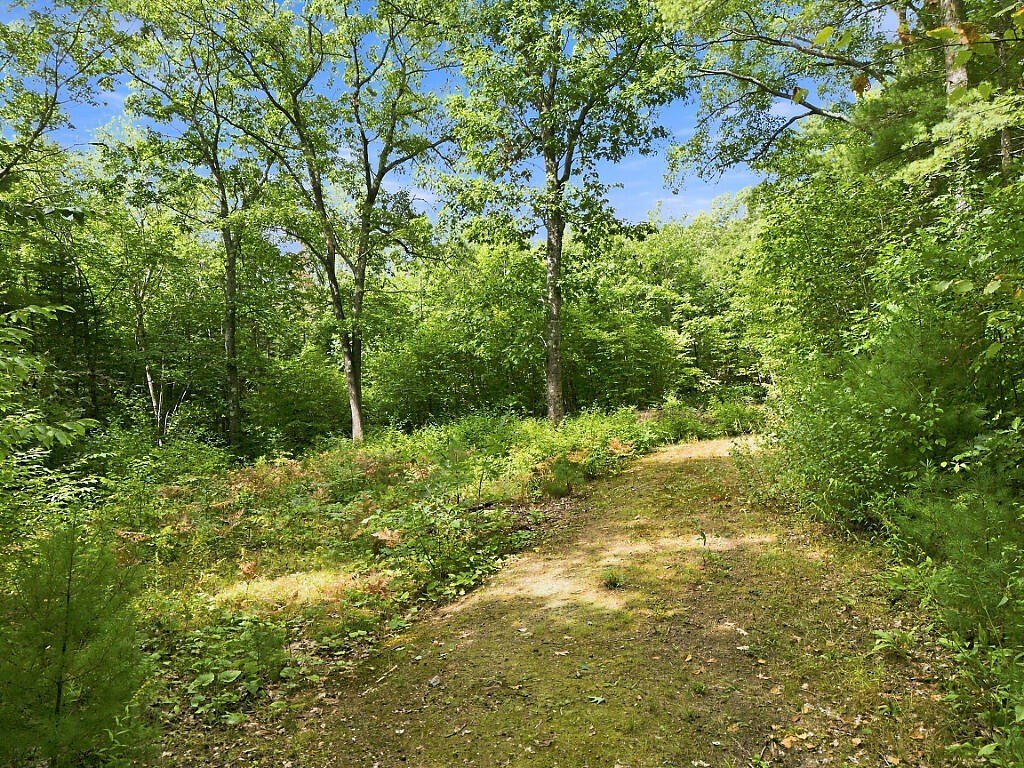 Picture 8