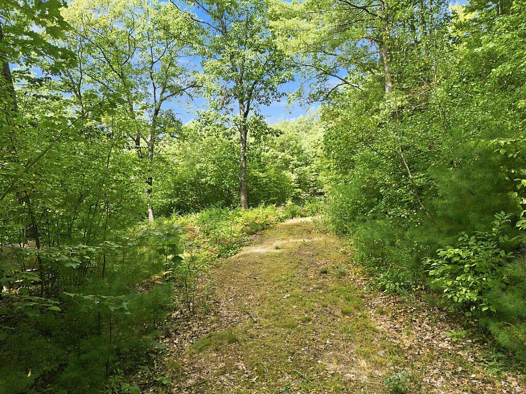 Picture 7
