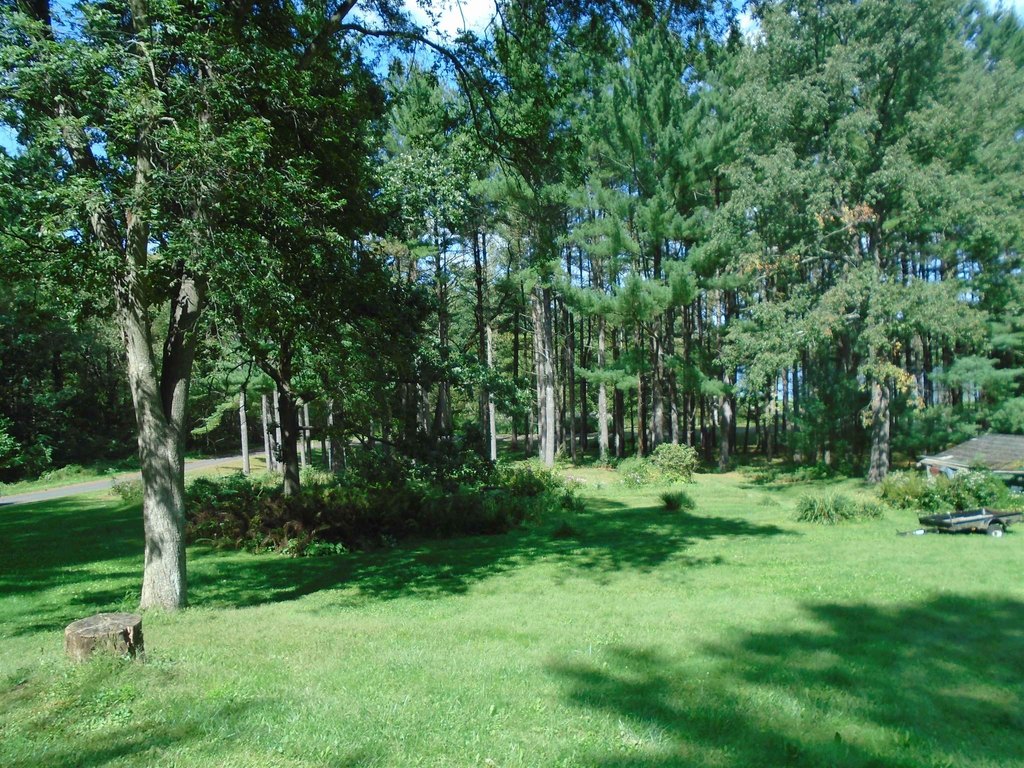 Picture 4