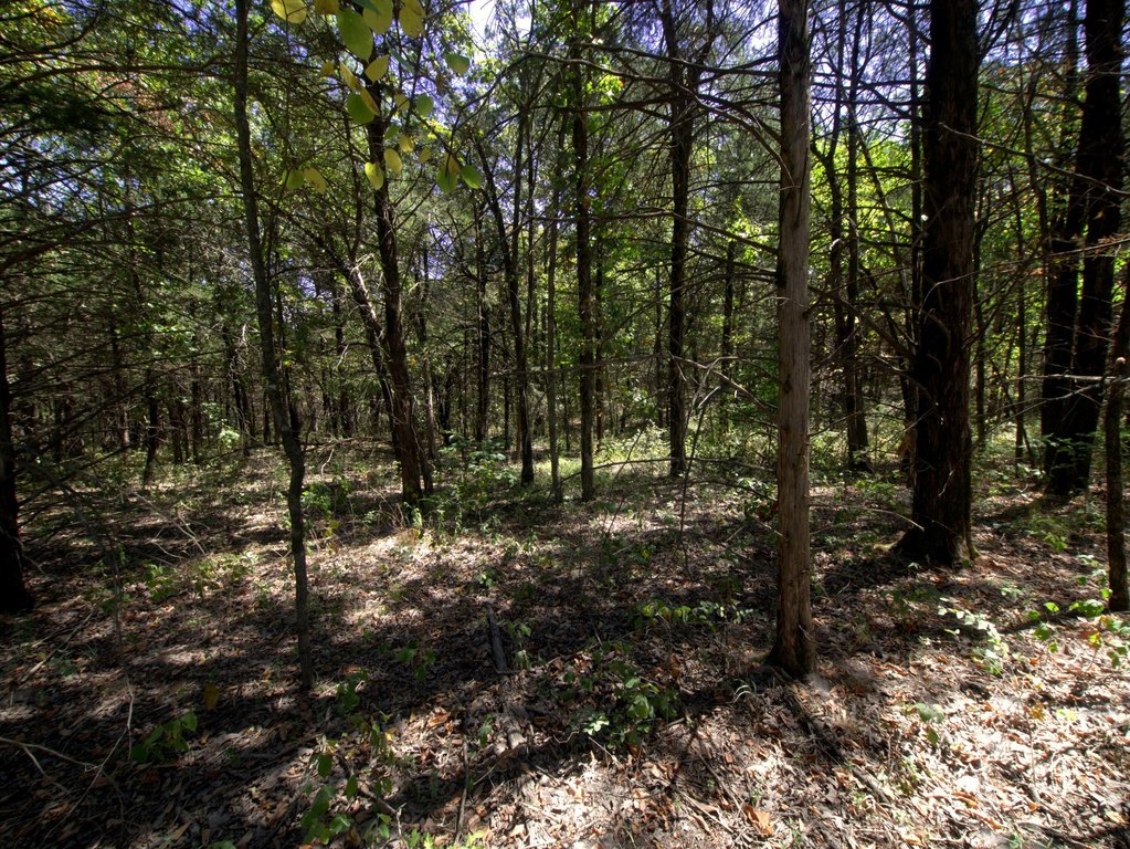 Picture 14