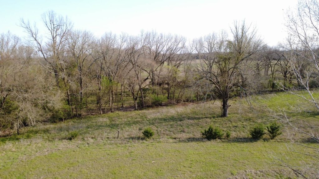 Picture 17