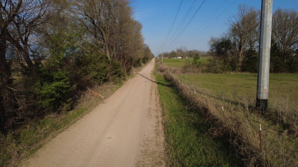 Picture 24
