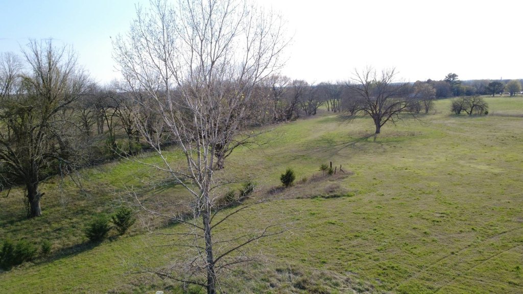 Picture 18