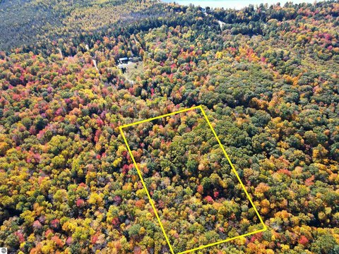 Wooded Residential Land Parcel