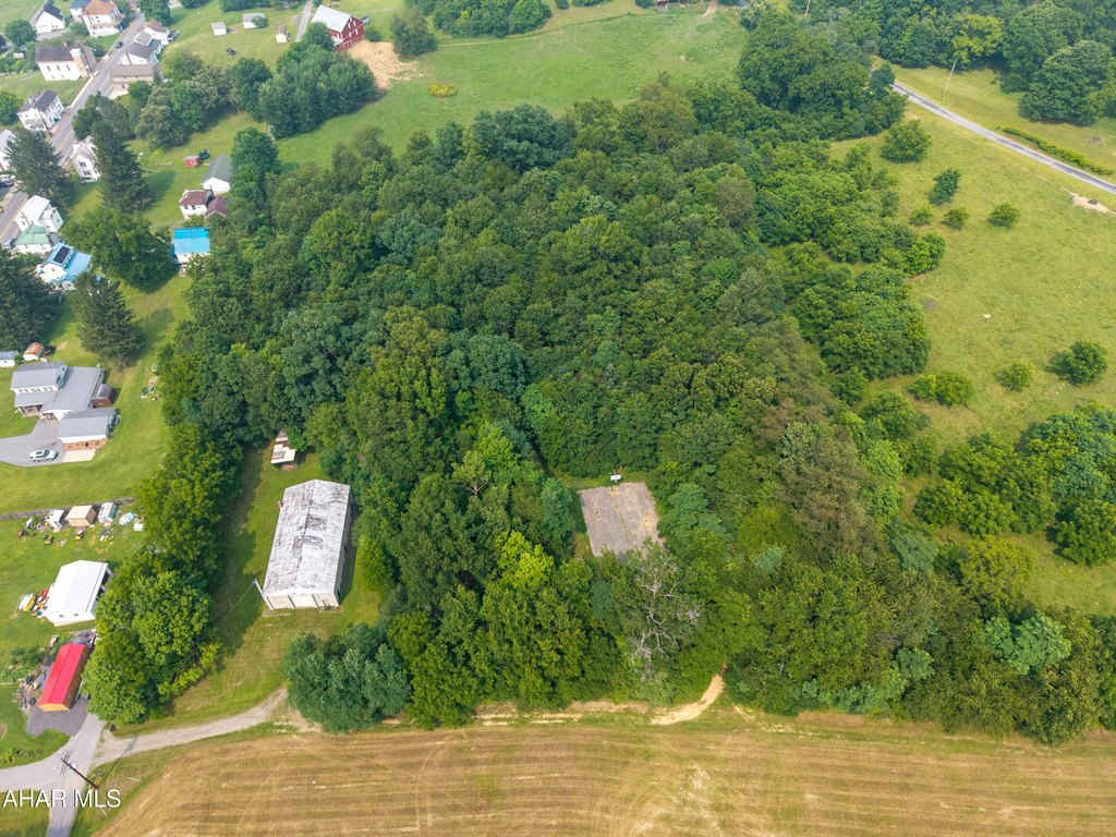 Picture 15