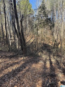 LAND - VANCE, AL