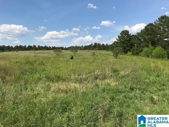 878 Acres Development Tract