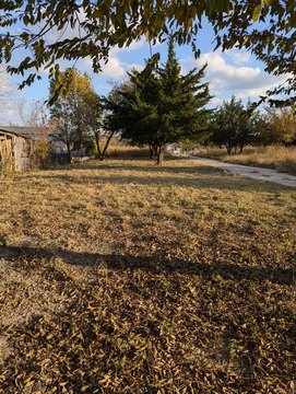 LAND - Crandall, TX
