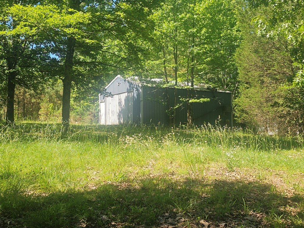 Picture 3