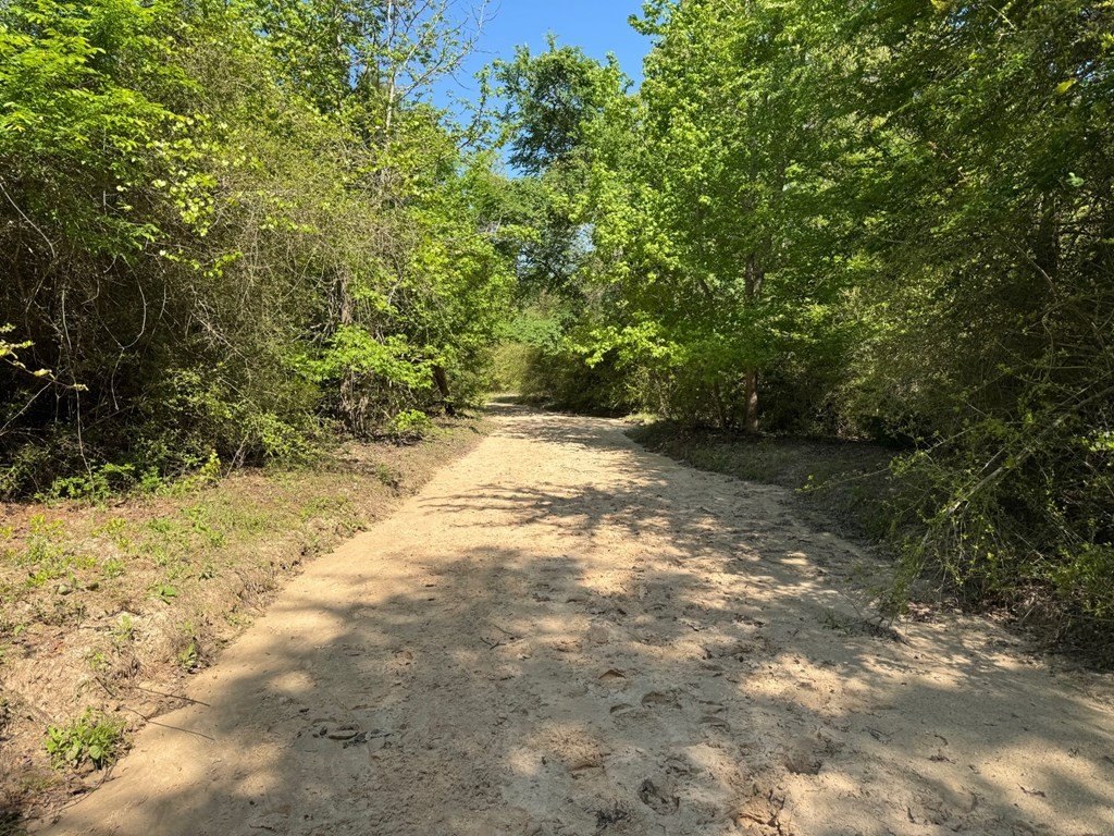 Picture 25