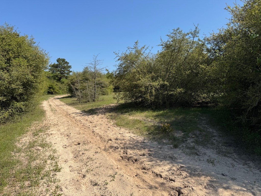 Picture 26