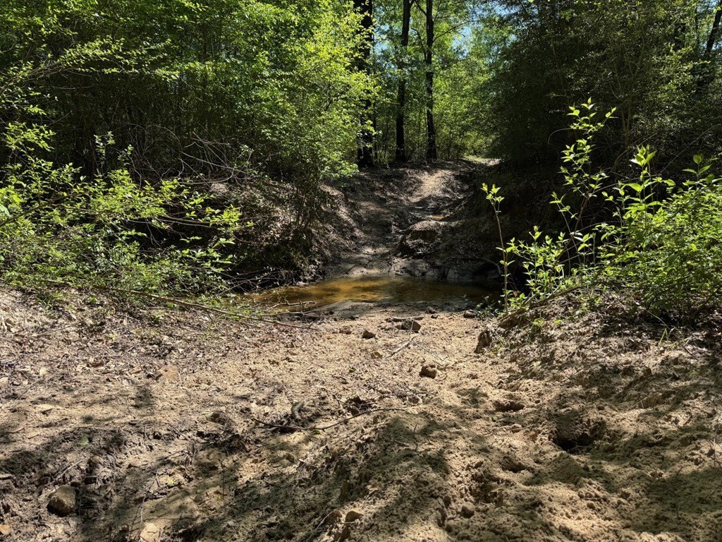 Picture 28