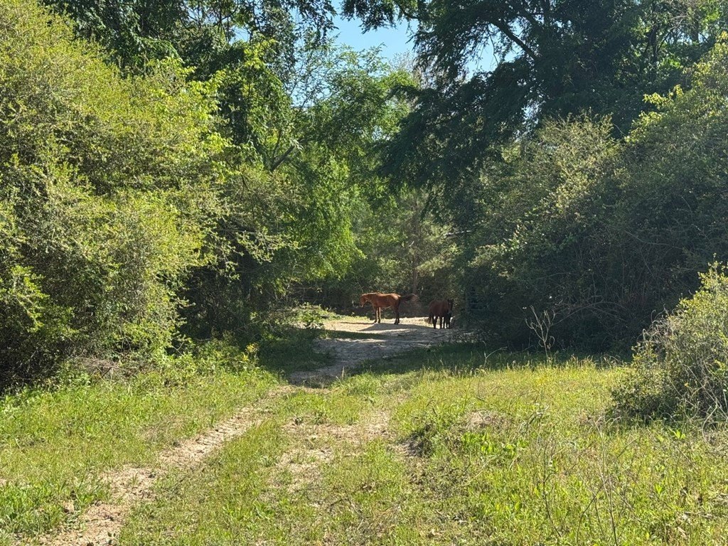 Picture 24