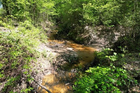 Grapeland, TX Acreage Opportunity