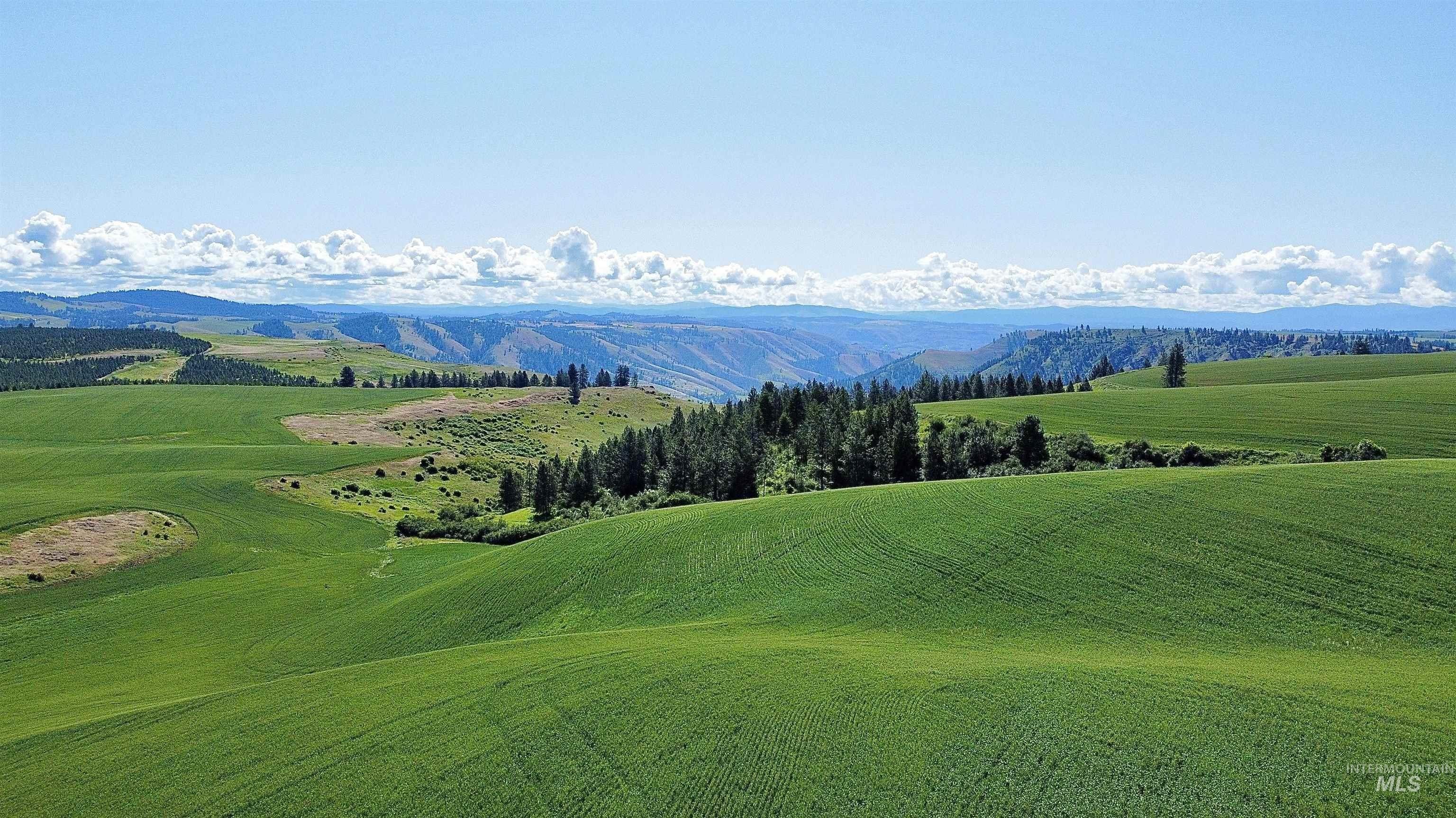 Expansive Farmable Land on Camas Prairie