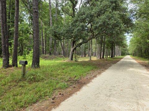 LAND - McClellanville, SC