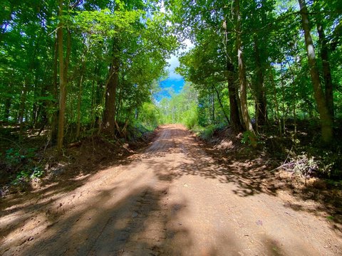 Pine Plantation Hunting and Recreation Land