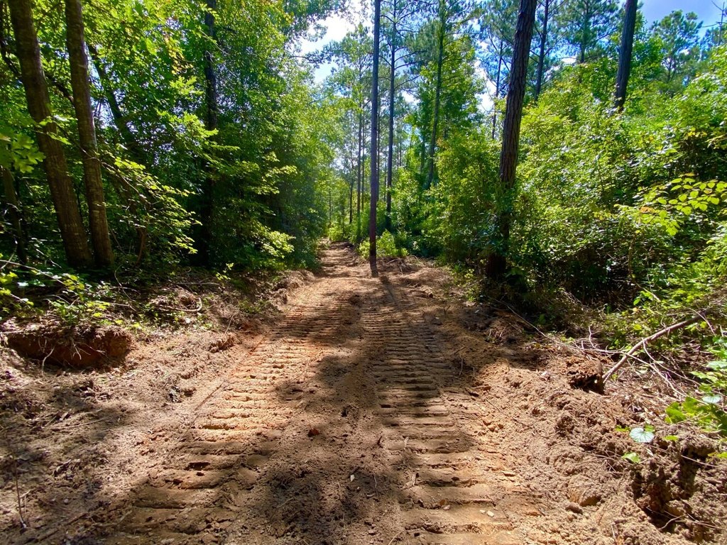Picture 31