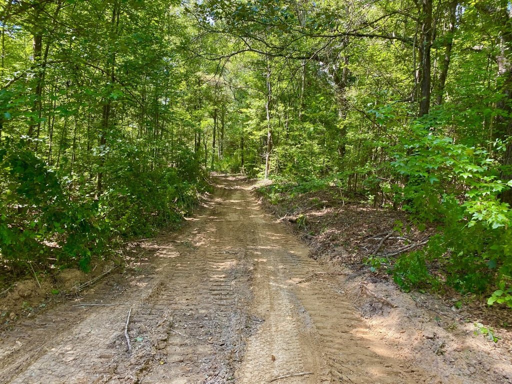 Picture 29