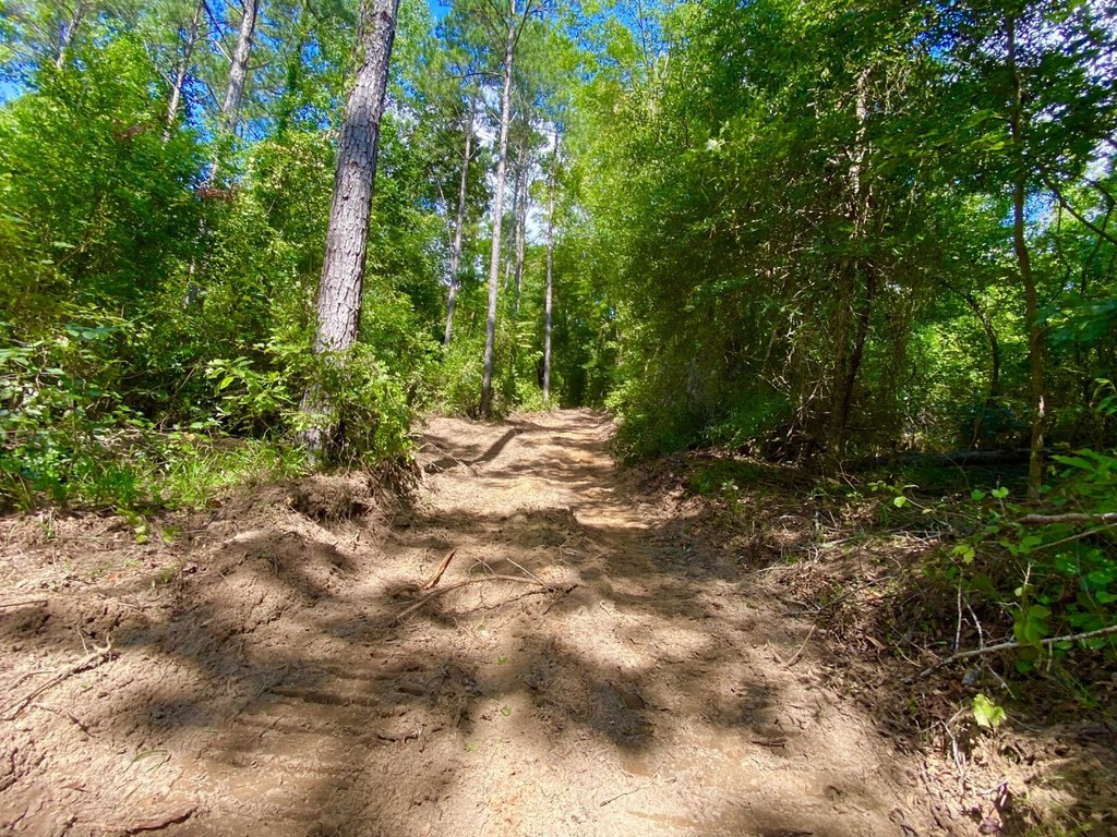Picture 33