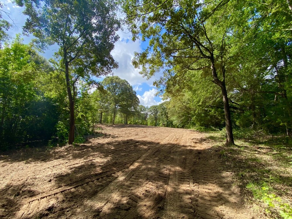 Picture 21