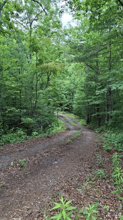 Picture 17