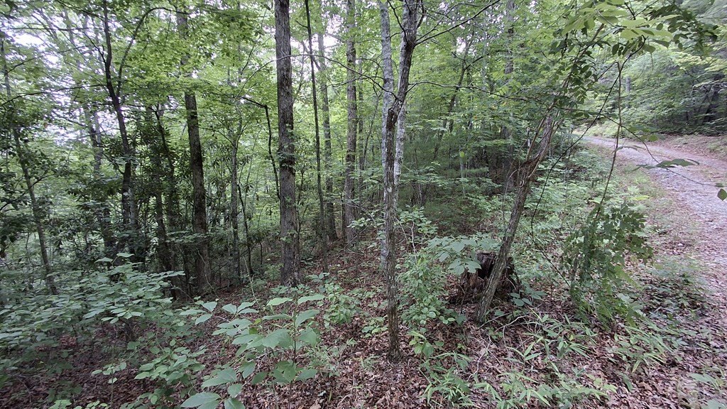 Picture 16
