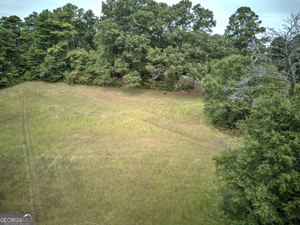 Picture 35