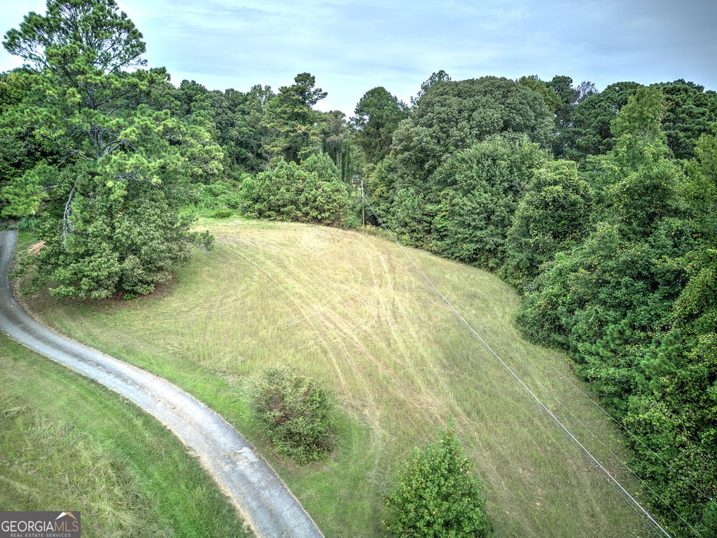 Picture 14