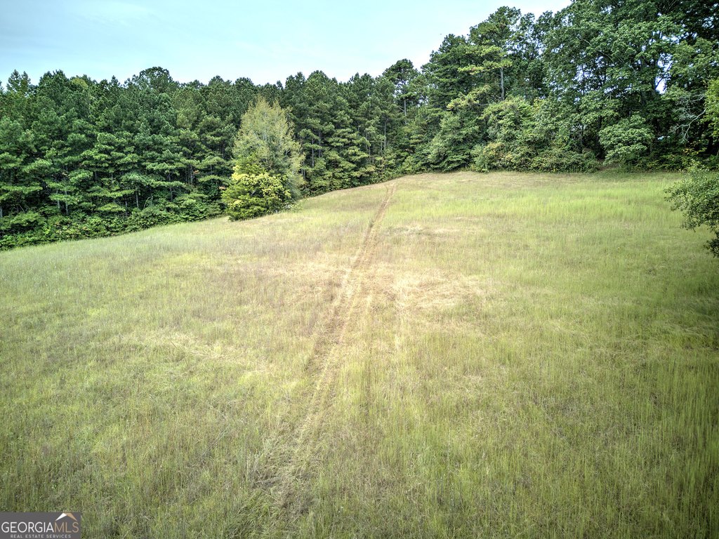 Picture 33
