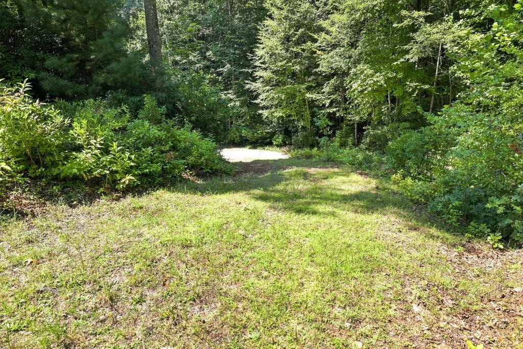 Picture 11