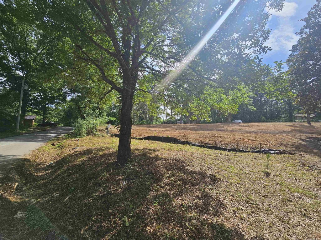 Picture 18