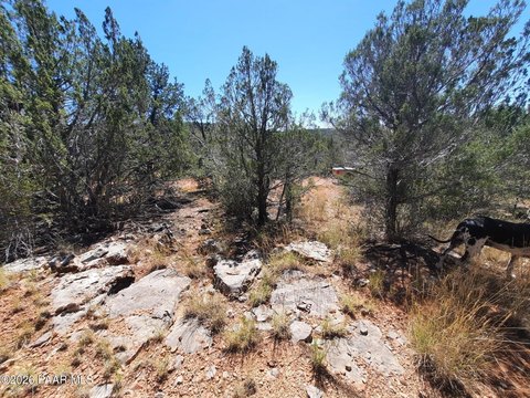 Land, Seligman, AZ