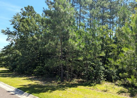 LAND - Aiken, SC