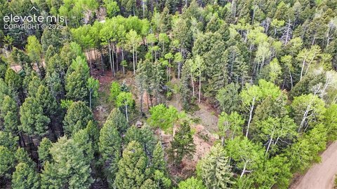 Sherwood Forest Double Lot