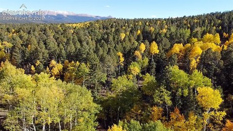 Sherwood Forest Double Lot