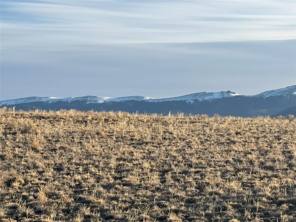 Picture 7
