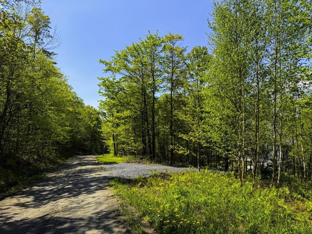 Picture 36