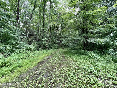LAND - Sevierville, TN