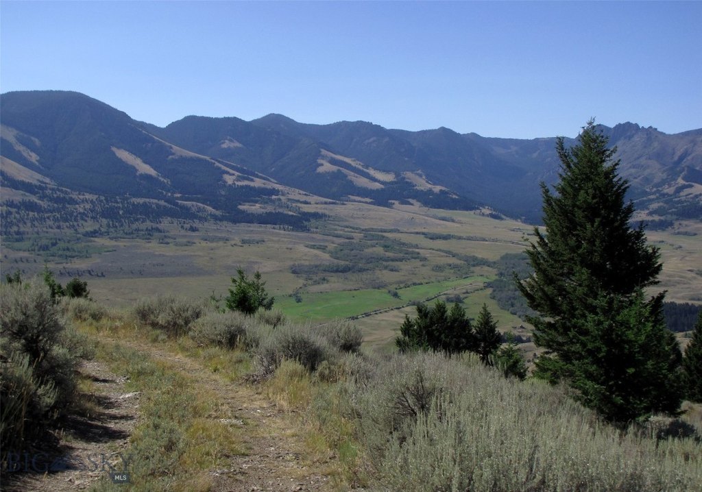Picture 18