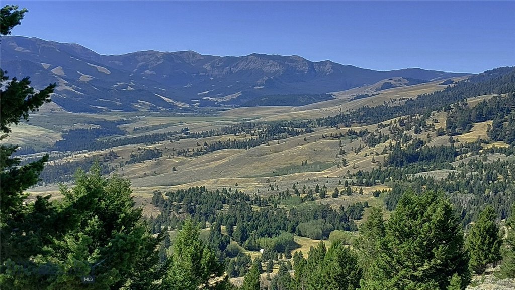 Picture 20
