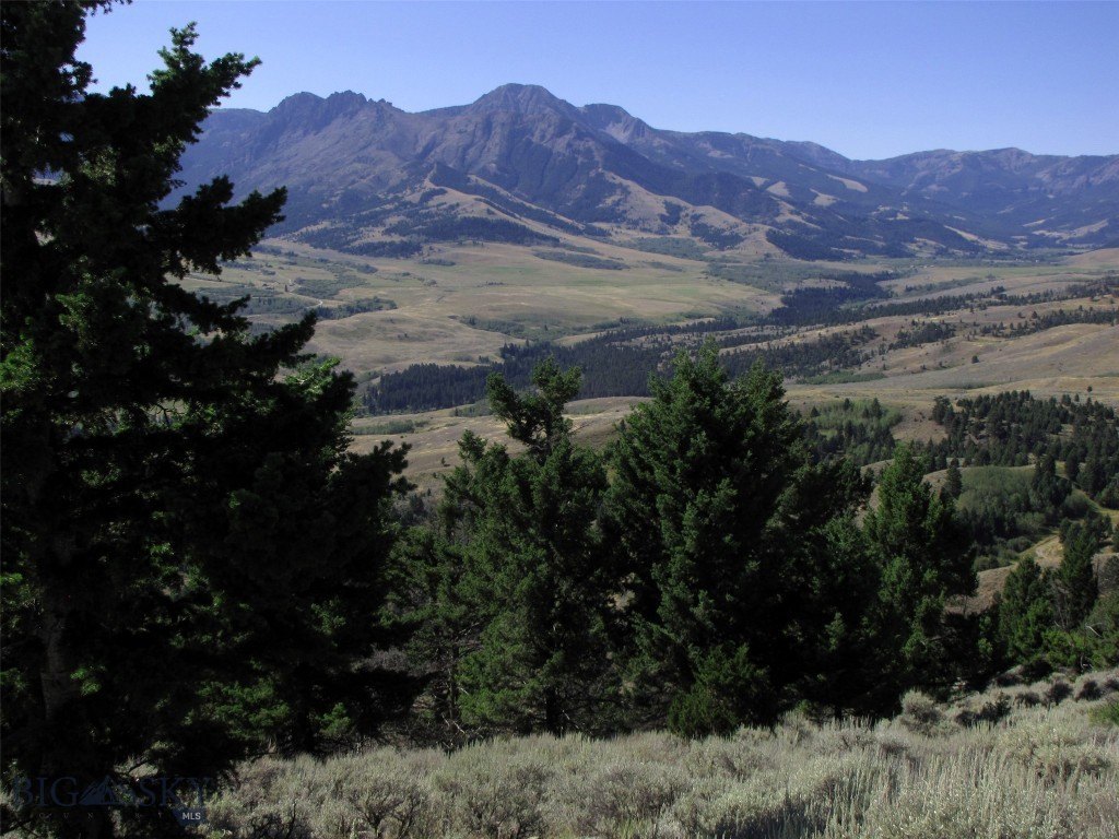 Picture 7