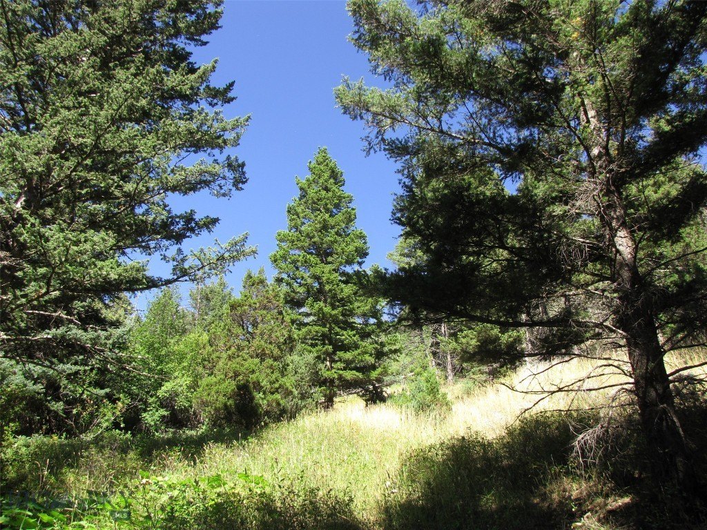 Picture 19