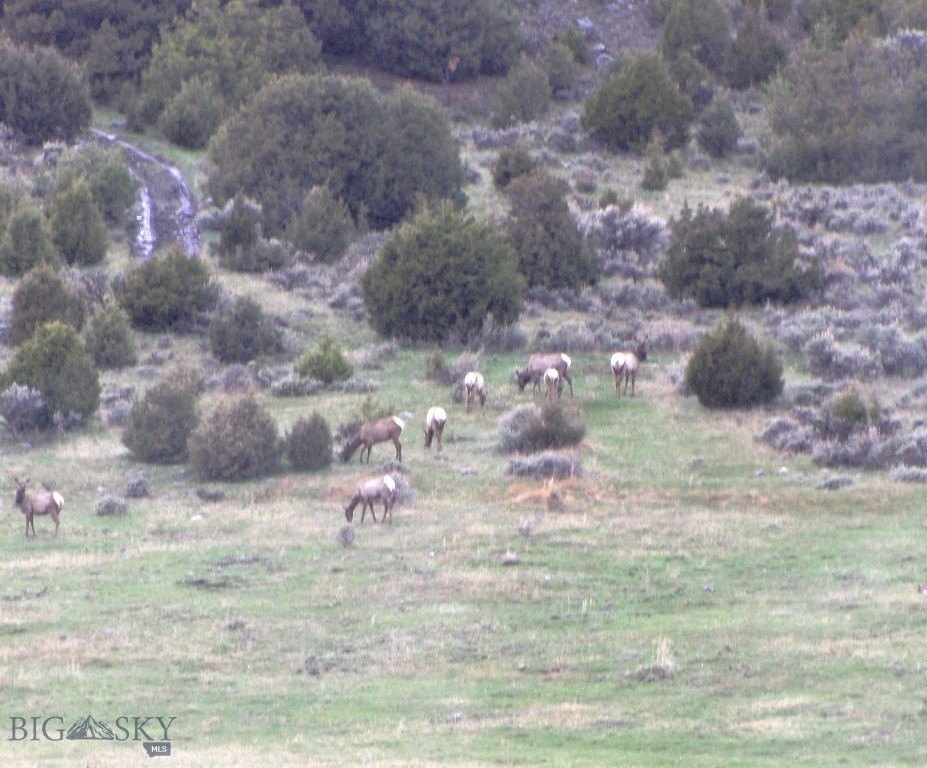 Picture 27
