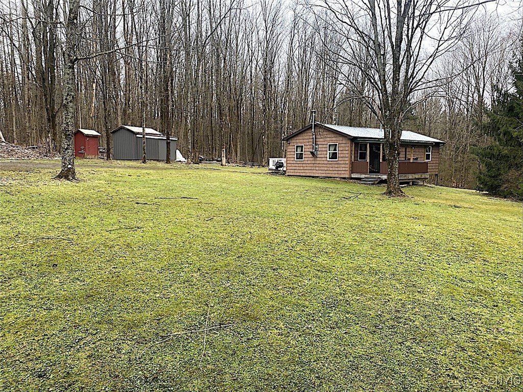 Cabin Bordering State Land