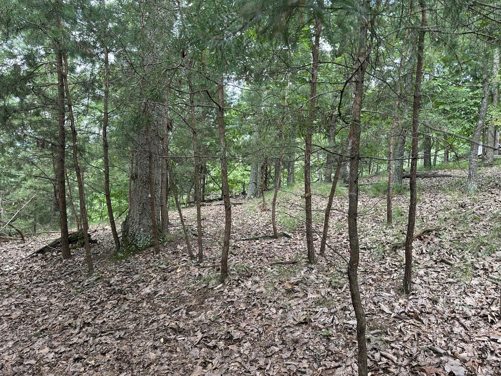 Picture 4