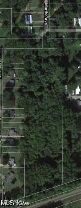 Geneva Township Wooded Lot