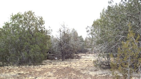 Residential Land in Williams, Arizona